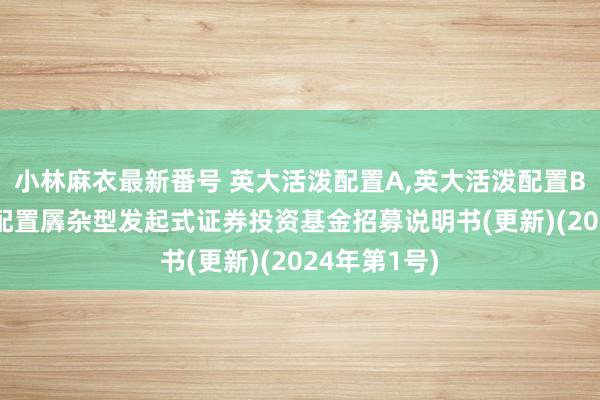 小林麻衣最新番号 英大活泼配置A,英大活泼配置B: 英大活泼配置羼杂型发起式证券投资基金招募说明书(更新)(2024年第1号)