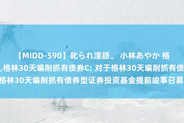 【MIDD-590】叱られ淫語。 小林あやか 格林30天编削抓有债券A,格林30天编削抓有债券C: 对于格林30天编削抓有债券型证券投资基金提前竣事召募的公告