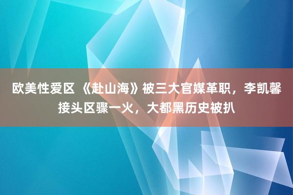 欧美性爱区 《赴山海》被三大官媒革职，李凯馨接头区骤一火，大都黑历史被扒