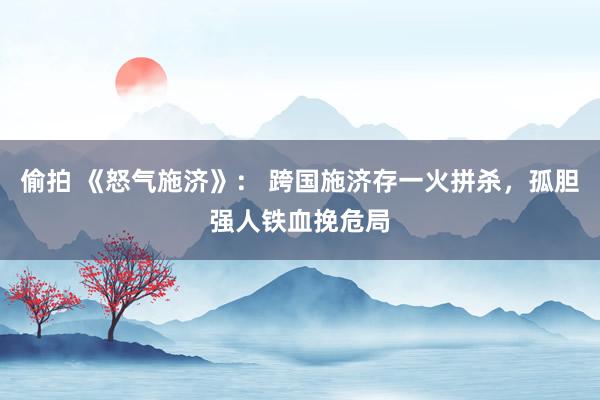 偷拍 《怒气施济》： 跨国施济存一火拼杀，孤胆强人铁血挽危局