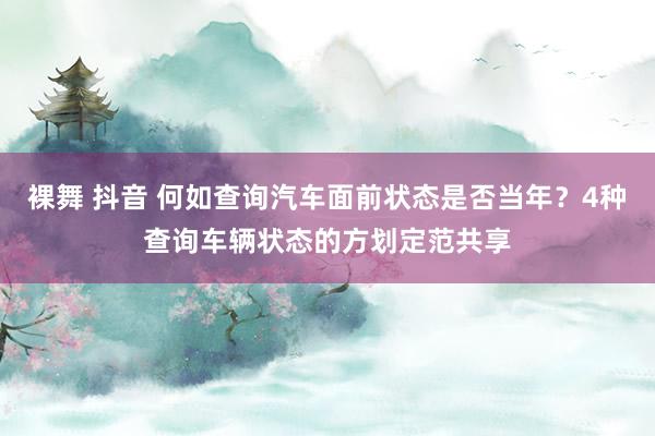 裸舞 抖音 何如查询汽车面前状态是否当年？4种查询车辆状态的方划定范共享