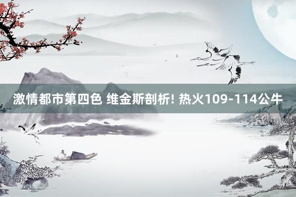 激情都市第四色 维金斯剖析! 热火109-114公牛