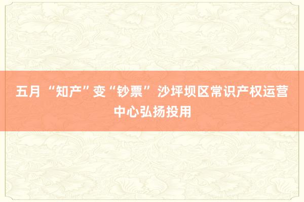 五月 “知产”变“钞票” 沙坪坝区常识产权运营中心弘扬投用