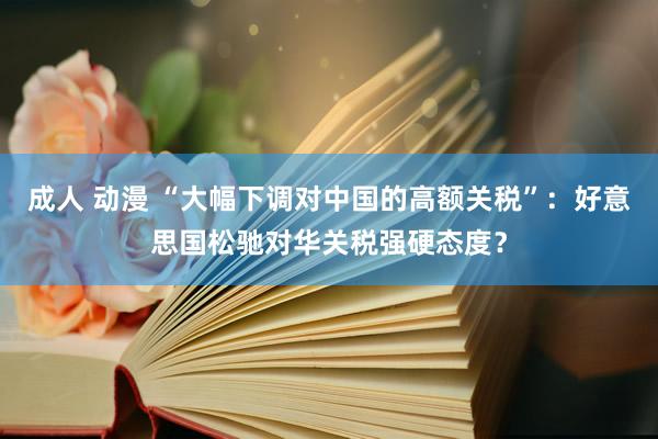 成人 动漫 “大幅下调对中国的高额关税”：好意思国松驰对华关税强硬态度？