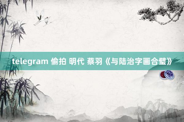telegram 偷拍 明代 蔡羽《与陆治字画合璧》