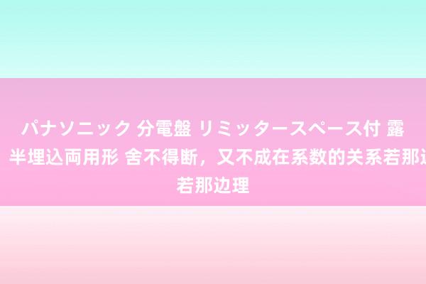 パナソニック 分電盤 リミッタースペース付 露出・半埋込両用形 舍不得断，又不成在系数的关系若那边理